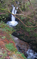 Dollar Glen